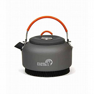 ������ 0.8 ���� �� ���� ����� Cactus