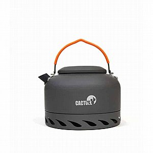 ������ 1.4 ���� �� ���� ����� Cactus