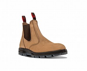 ���� ���� ��� UBCH ���� RedBack