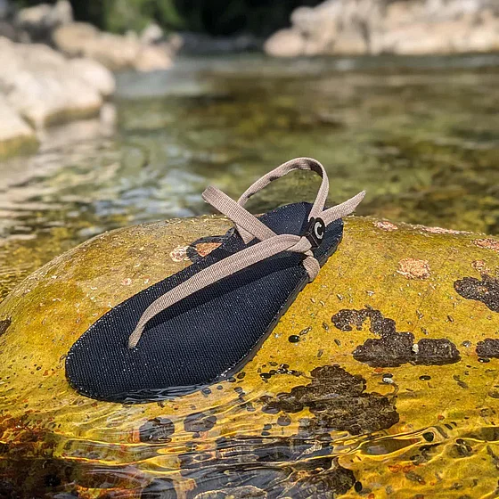 36-��������  ����� ���� Zuzu  Flex