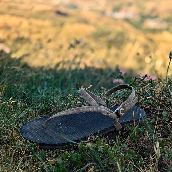 36-��������  ����� ���� Zuzu  Flex