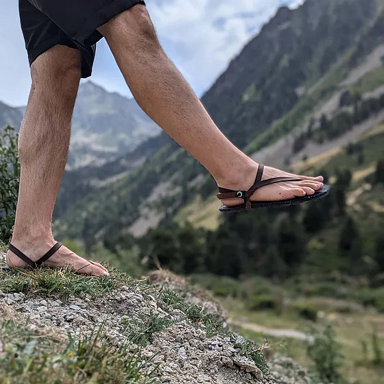 36-��������  ����� ���� Zuzu  Flex