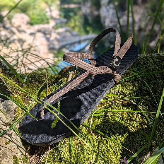 36-��������  ����� ���� Zuzu  Flex