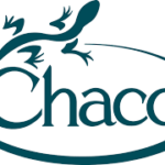 Chaco men z/2 canyon צ’אקו גברים קניון אצבע CHACO ארץ ציוד מחנאות
